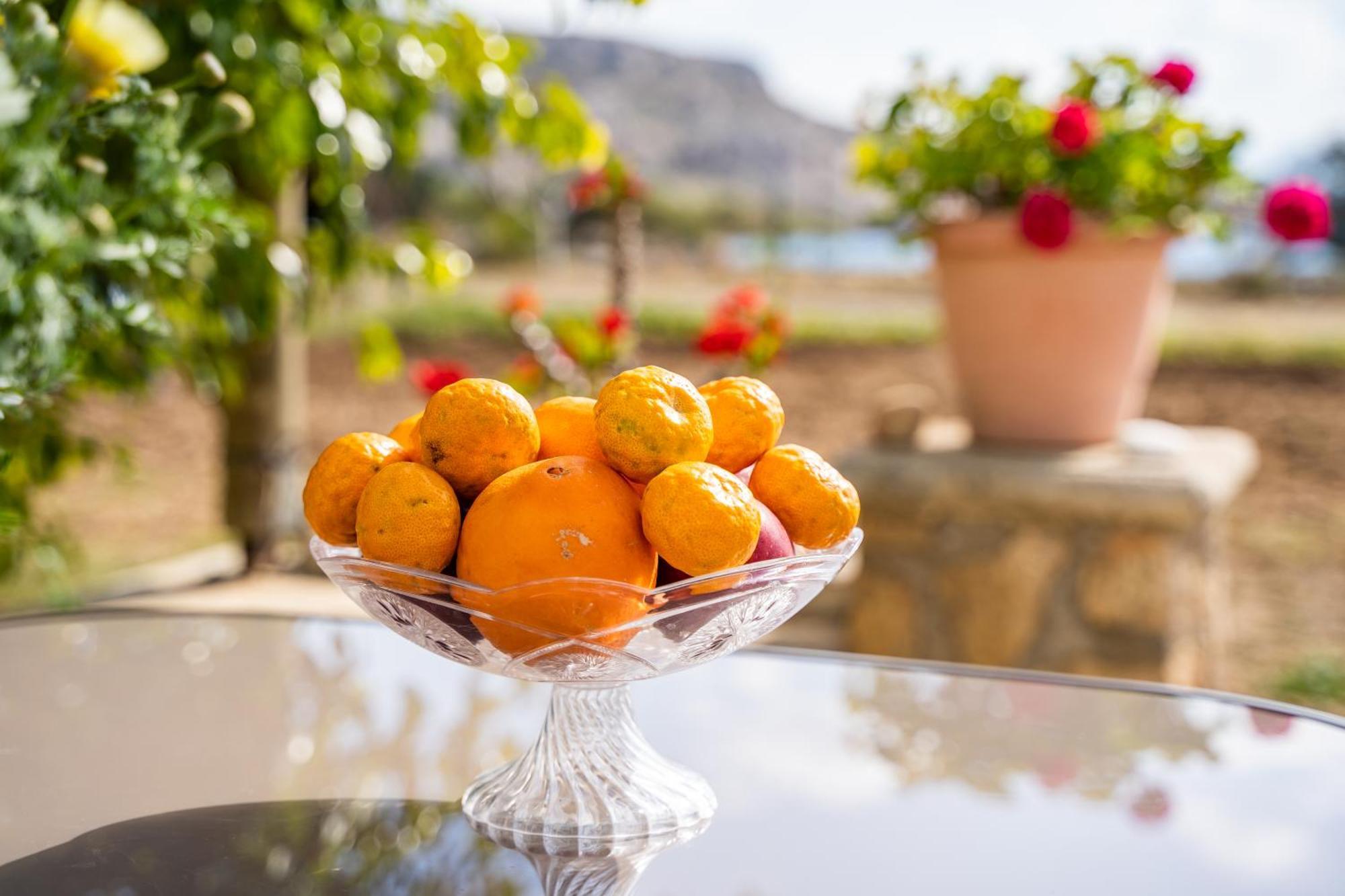 شقة Venetia'S Garden Lefkos  المظهر الخارجي الصورة