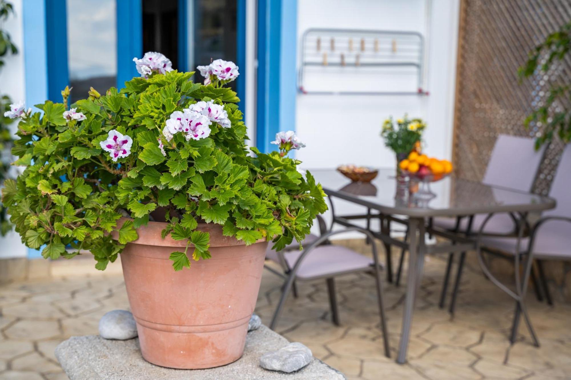 شقة Venetia'S Garden Lefkos  المظهر الخارجي الصورة