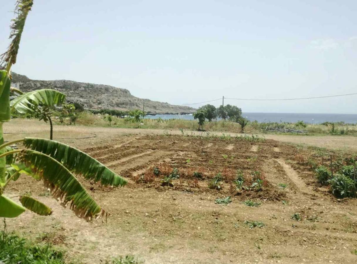 شقة Venetia'S Garden Lefkos  المظهر الخارجي الصورة
